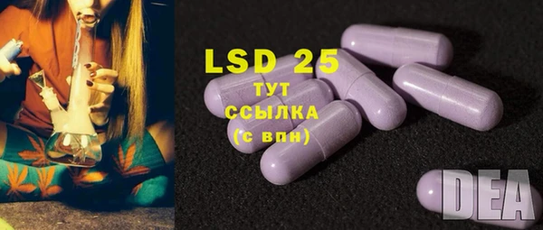 крисы Алексин