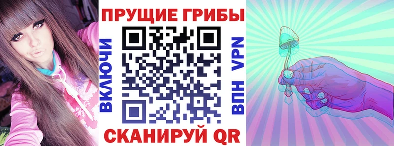 Псилоцибиновые грибы Psilocybine cubensis купить наркотик Далматово